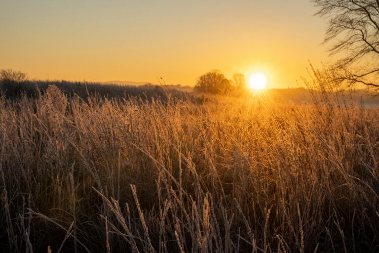 Aktualna i prognozowana sytuacja meteorologiczna – raport nr 94 IMGW-PIB - Aktualności